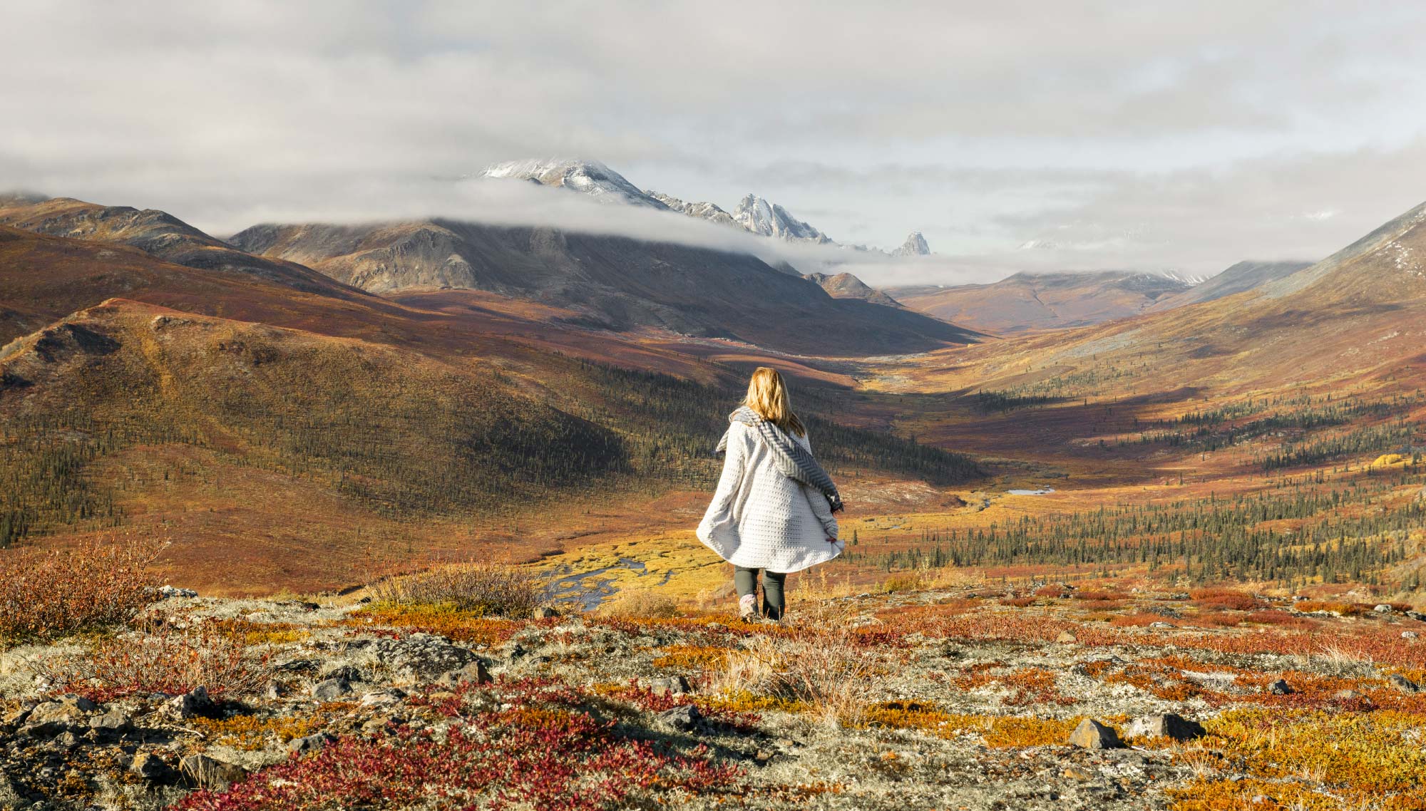Couleurs d’automne – Yukon Couleurs d'automne - Yukon