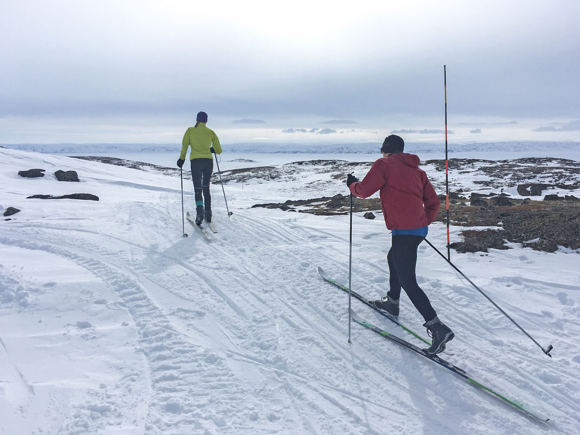 Two people skiing in snowy landscape.