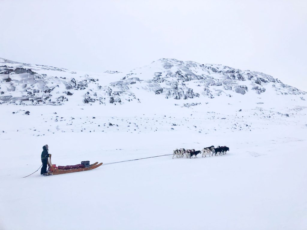 Person sledding with dogs in snow