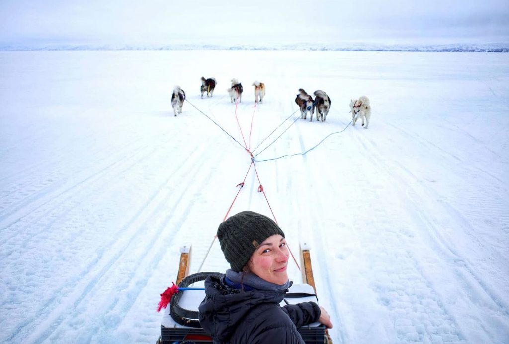 Person sledding with dogs on ice