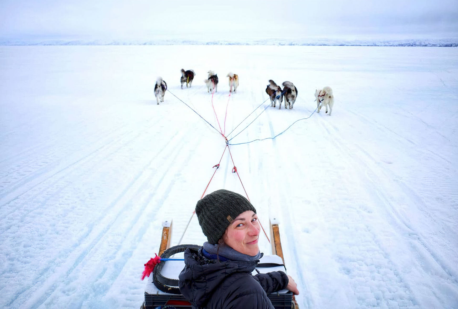 Person sledding with dogs on ice