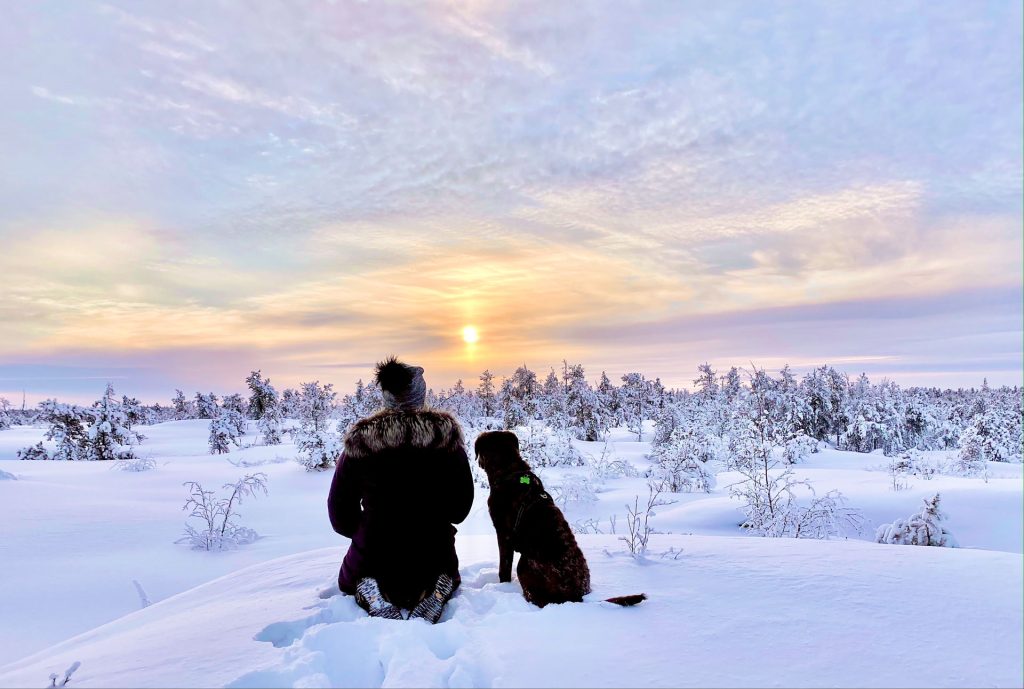 Person and dog watching sunset