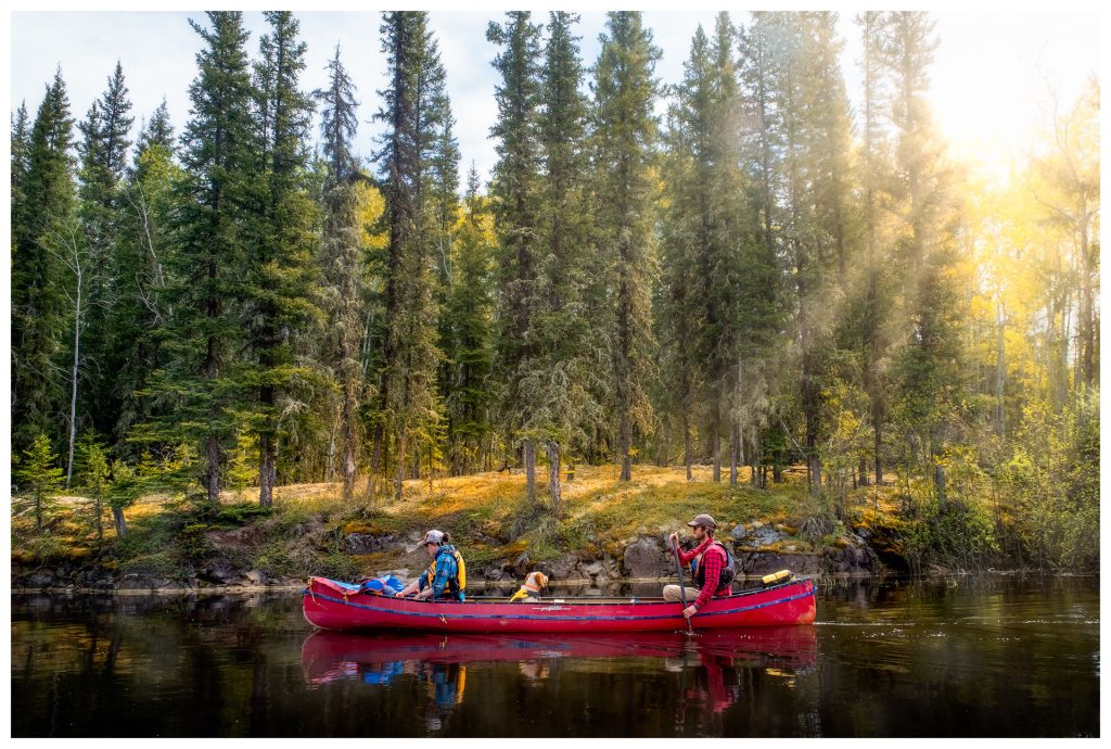 Canoeing in serene forest landscape.
