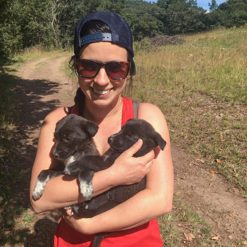 Woman holding two adorable puppies