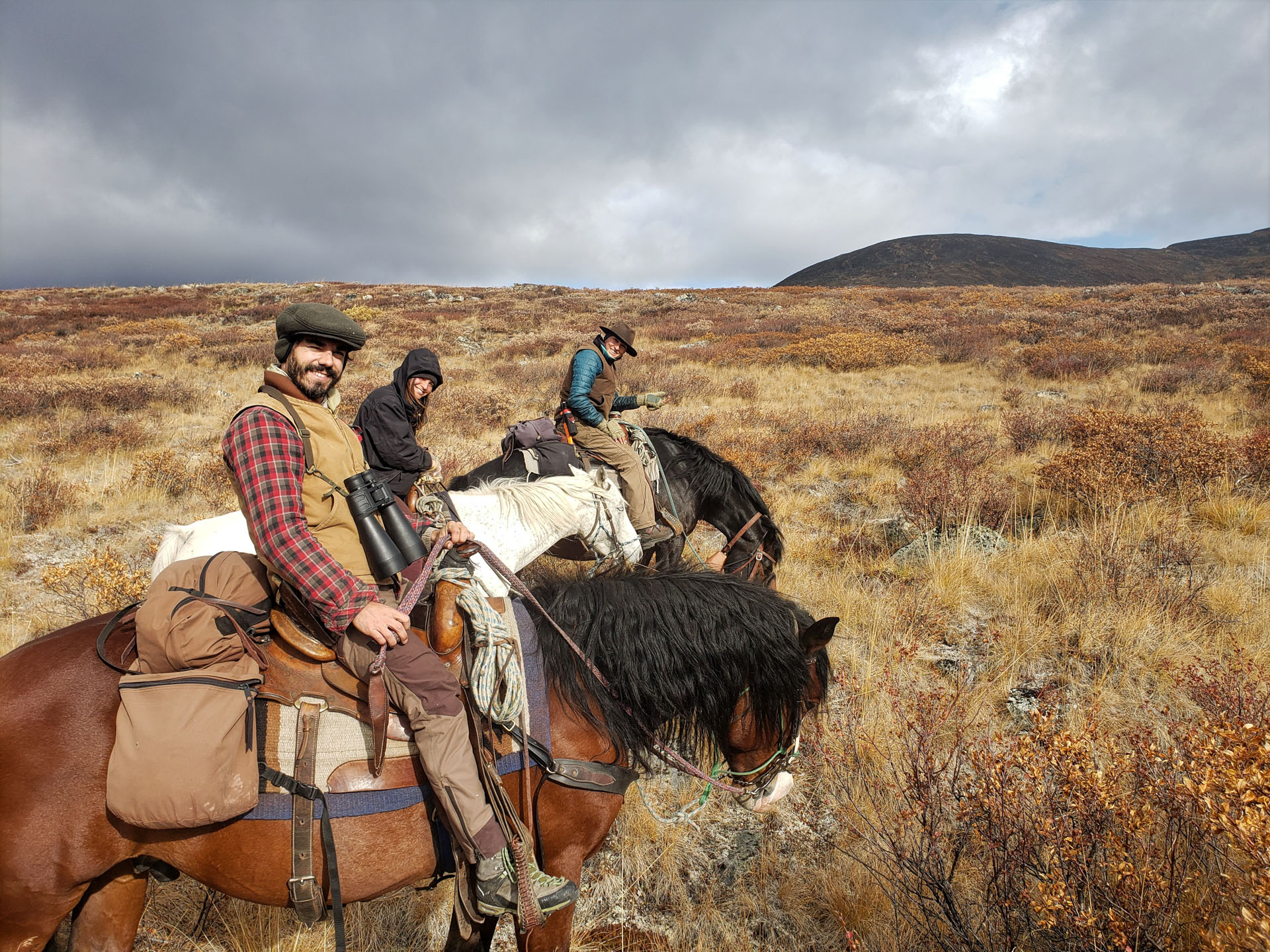 Three people riding horses in nature