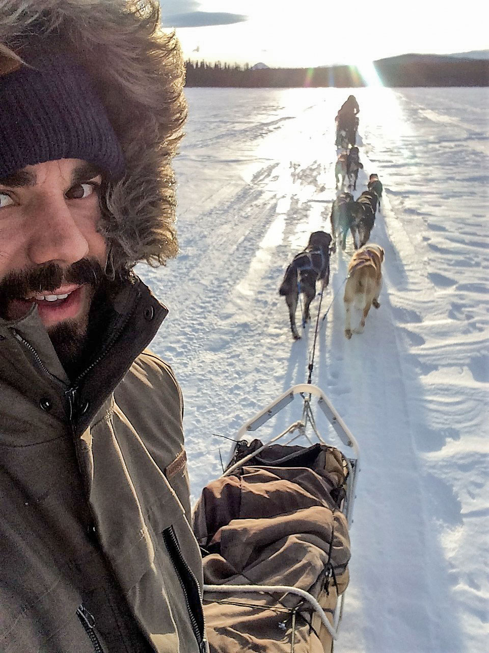 Man sledding with dogs on snow