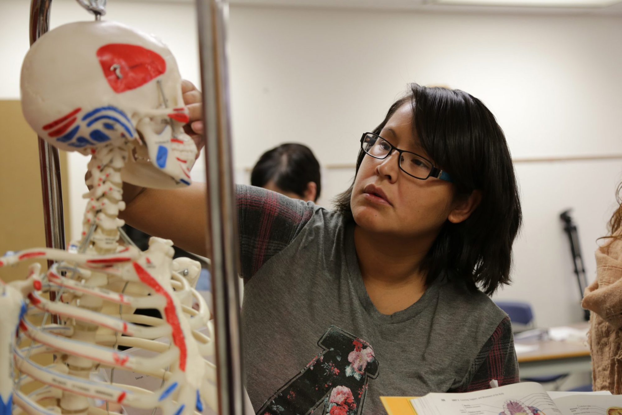 Student studying human anatomy model
