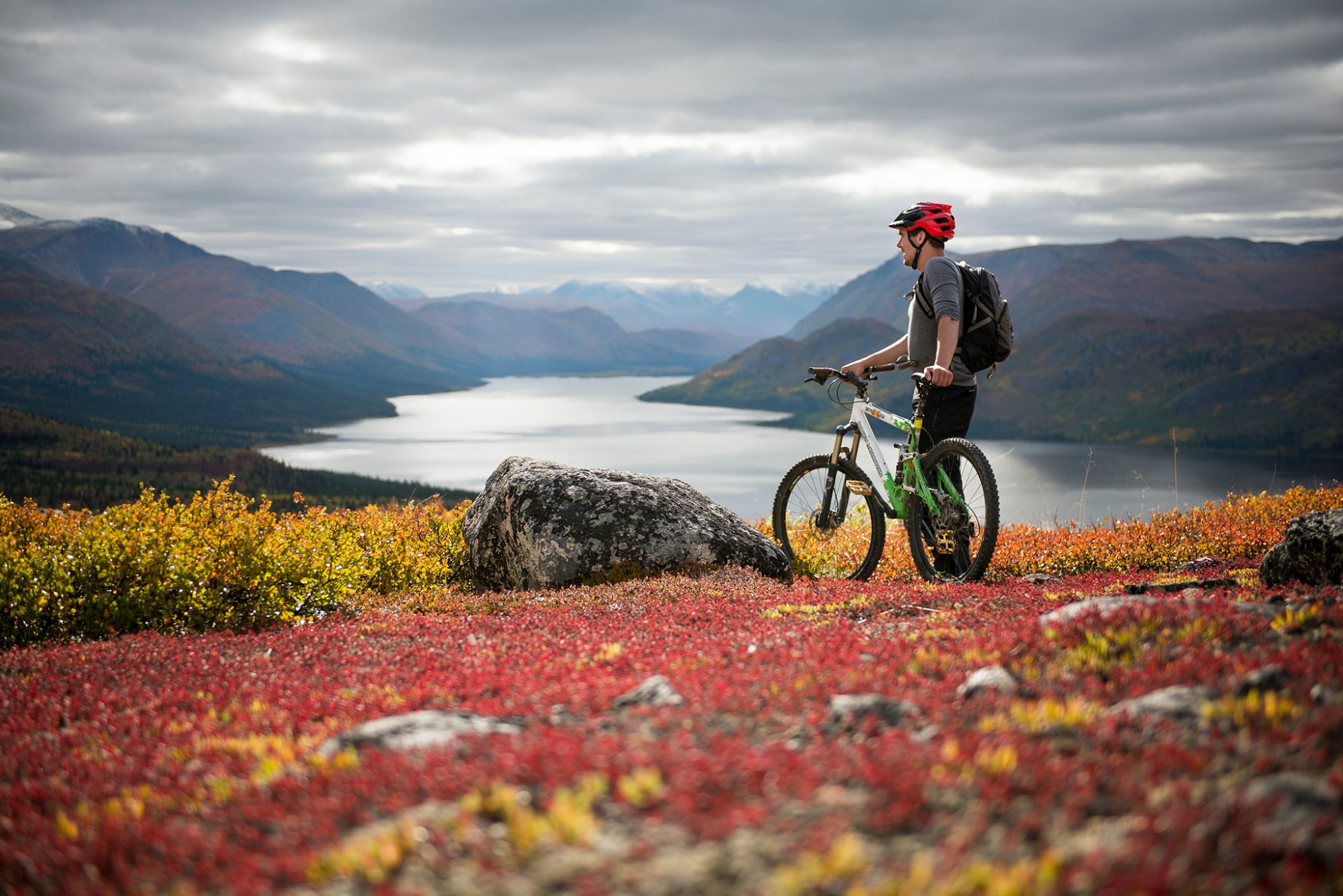 Biker overlooking vibrant autumn landscape.
