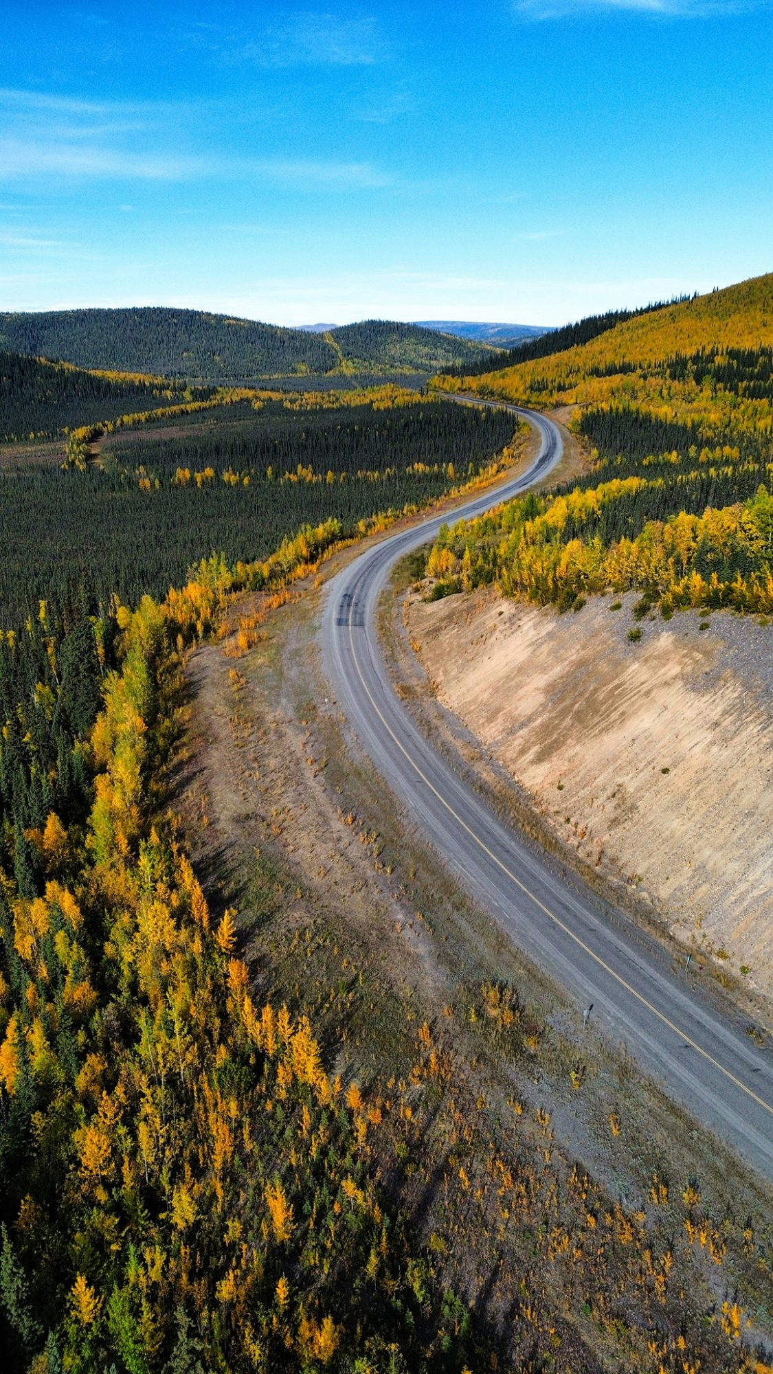 Winding road through autumn foliage