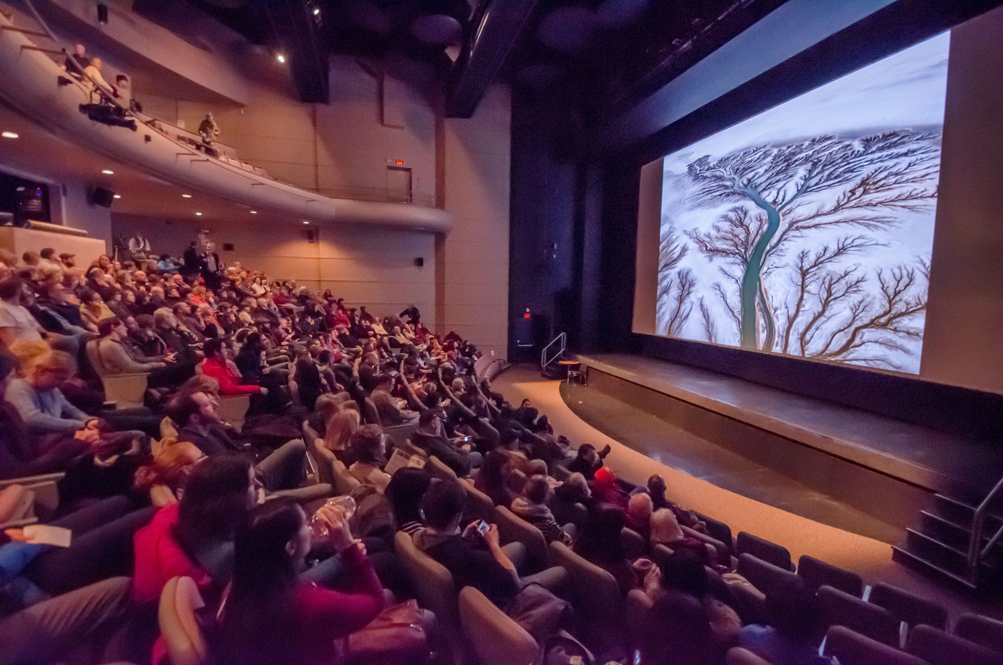 Audience watching a presentation on stage